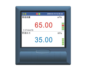 VX6000R 彩屏无纸记录仪